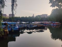 -团结湖公园