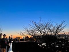 -台场海滨公园船码头