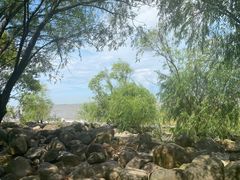 -上海吴淞炮台湾国家湿地公园