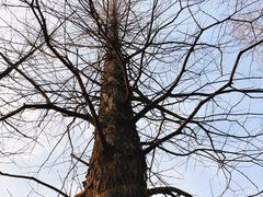 -蜀冈西峰生态公园