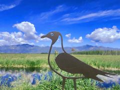 -野鸭湖国家湿地公园