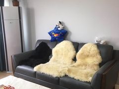 -红星美凯龙(上海沪南店)