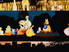 -杭州野生动物世界