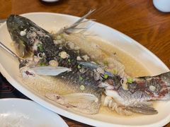 油盐蒸山坑皖鱼-启香鸡私房菜(湖景店)