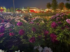 -曹州百花园