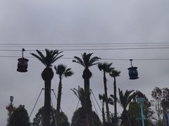 -上海海昌海洋公园