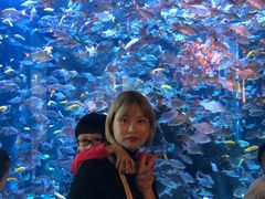 -成都浩海立方海洋公园