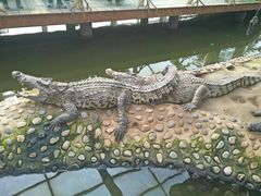 -石家庄市动物园