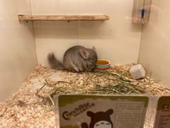 -龙猫仔乐园(惠福东路店)