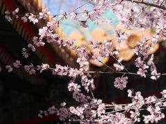 -颐和园-画中游