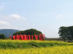 -光明小镇欢乐田园