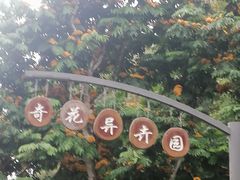 -中国科学院西双版纳热带植物园