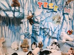 -济州岛泰迪熊博物馆