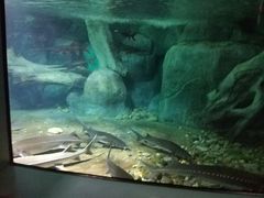 -福州罗源湾海洋世界旅游区