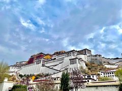 -吉祥圣雪藏餐