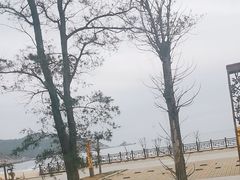 -青澳湾北回归线广场