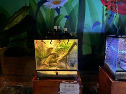 -酷嗒动物文化乐园(cutezoo西溪乐天城店)