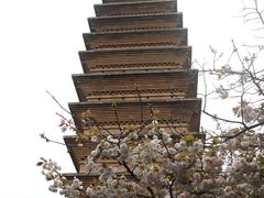 -洛阳白马寺