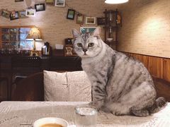 -隅cafe(傅厚岗店)