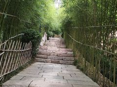 -竹子庵公园