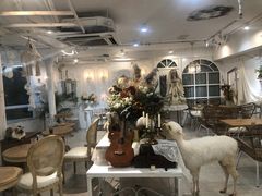 大堂-共舞时光猫咖·狗咖(新街口店)