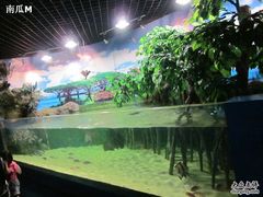 -苏州海洋馆