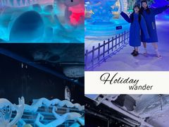 -海合安成都极地海洋公园
