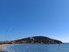 -烟墩角天鹅湖