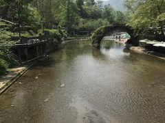 -四川省成都市彭州市白鹿镇