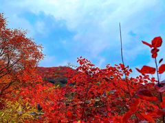 -周口店坡峰岭风景区