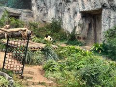 -石排湾郊野公园