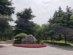 -渭滨公园