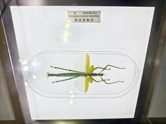 -上海昆虫博物馆