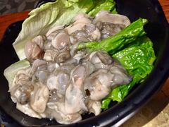 海蛎子-手选潮汕鲜活牛肉火锅(二七广场店)