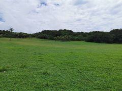 -鹅銮鼻公园