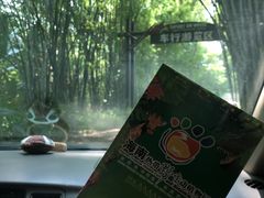-海南热带野生动植物园