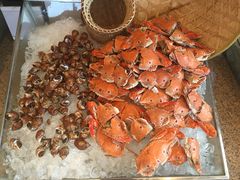 -视界美食自助餐厅·石家庄希尔顿酒店