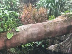 -北京植物园-展览温室