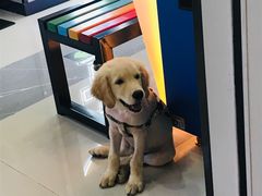 -风云再起游乐汇(南京常发广场店)