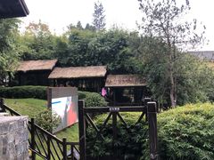 -崇阳三特浪口温泉