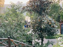-汉江公园
