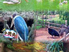 -云南野生动物园