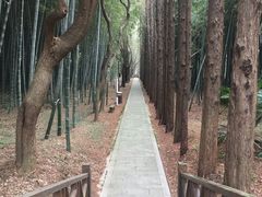 -同里国家湿地公园
