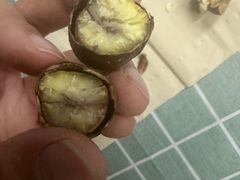 -高记福桂桂花糖炒栗(鼓楼店)
