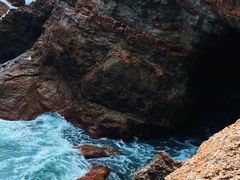 -杨梅坑
