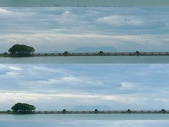 -贡湖湾湿地公园