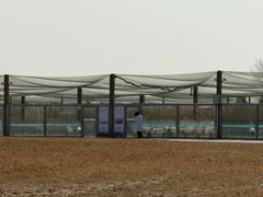 -盐城丹顶鹤湿地生态旅游区