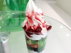 -Salud撒露欧洲冻酸奶(北苑上品店)