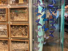 -墨尔本博物馆(Melbourne Museum)