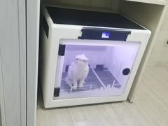 -宠颐生宠物医院·骨外科·犬猫全科诊疗中心(池州店)